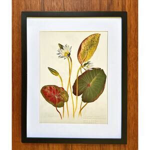 Papaya Art - 11x14 “Victorian Bird” by Anahata Joy Katkin - Wall Art Board